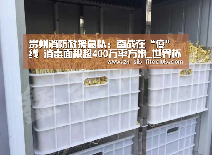 世界杯外围买球官网