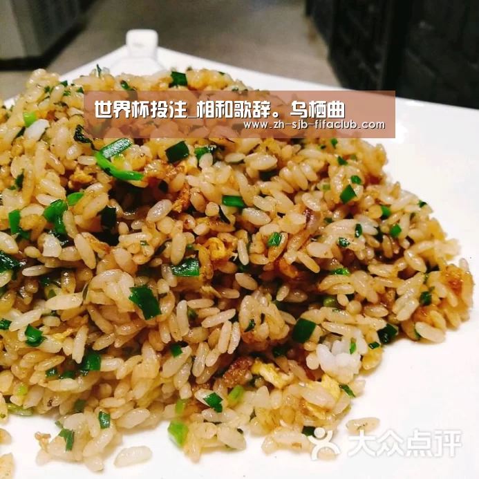 世界杯买球网站